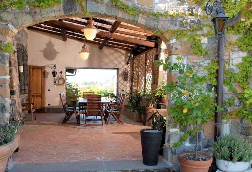 住宿加早餐  Resort Villa Domus Petra