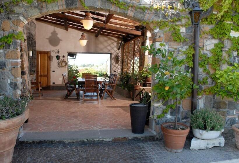 住宿加早餐  Resort Villa Domus Petra