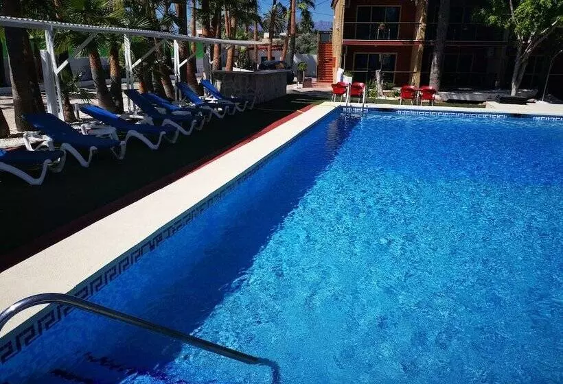 Apartamentos Palasiet