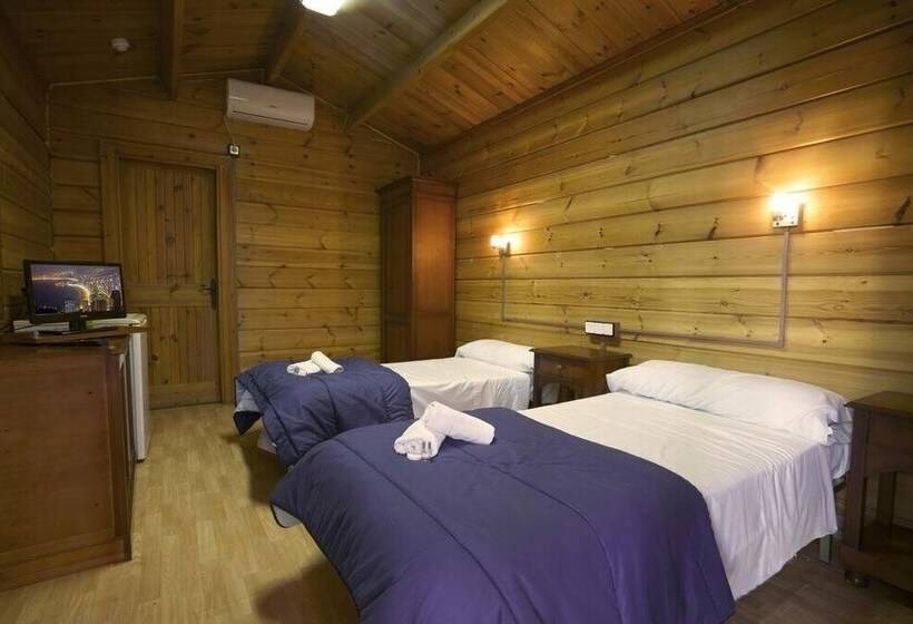 Apartamentos Palasiet