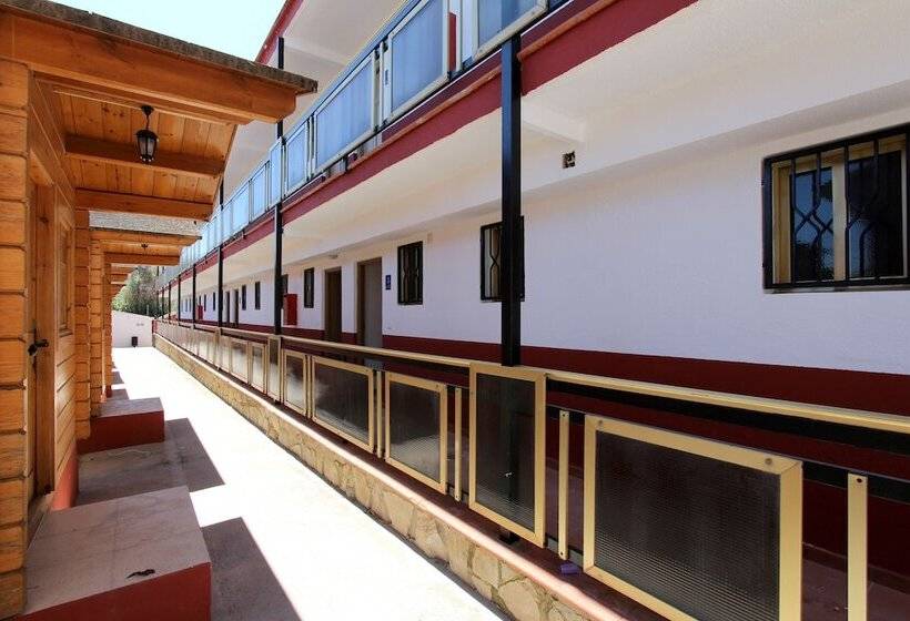 Apartamentos Palasiet