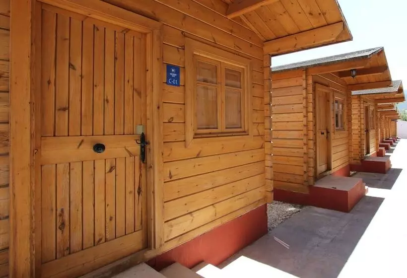 Apartamentos Palasiet