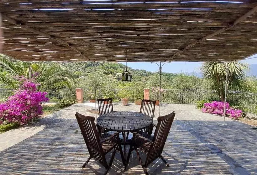 Aamiaismajoitus (B&B) Villa Albachiara