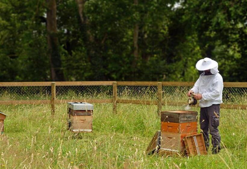 هتل Château Saint Gilles Bayeux