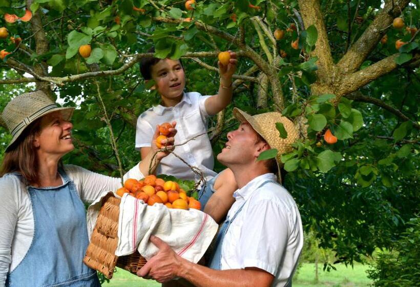 هتل Château Saint Gilles Bayeux