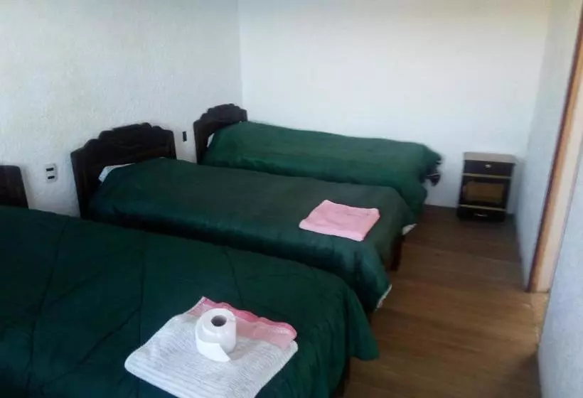 هتل Las Cabañas Lodge
