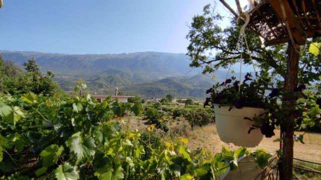 펜션 Bujtina Polimen