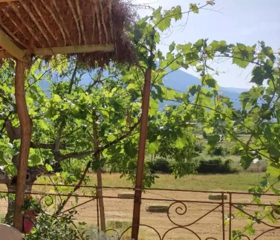 ペンション Bujtina Polimen