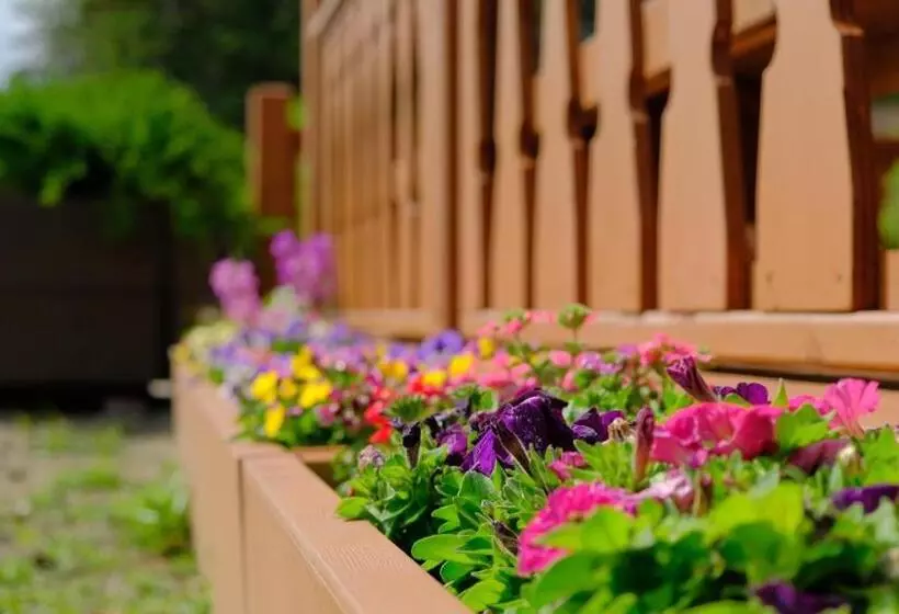 Aamiaismajoitus (B&B) Riverfront Estate Bed&breakfast Banff