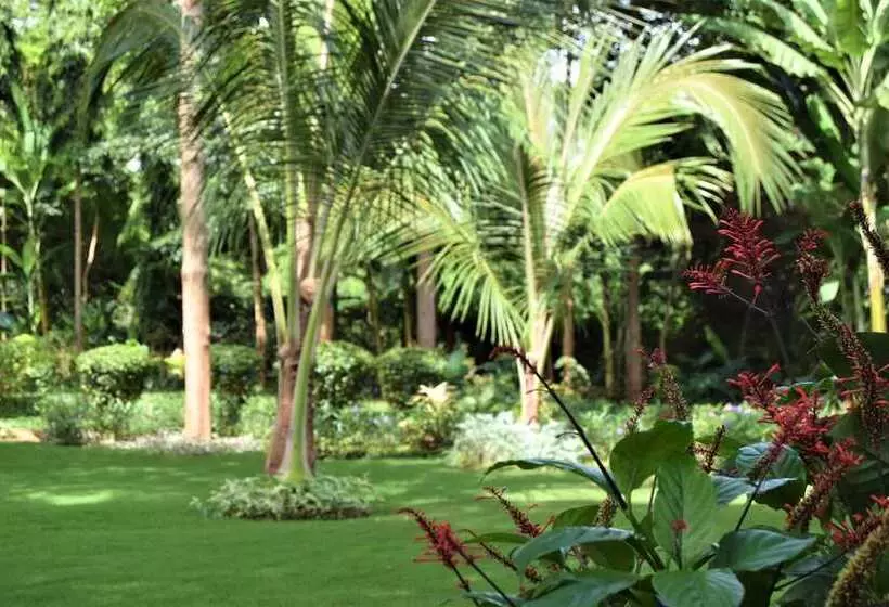 هتل Chanya Lodge