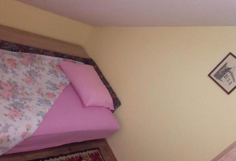 پانسیون Putnicka Kuca Kod Dragane