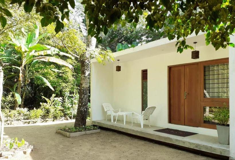 پانسیون The Loft