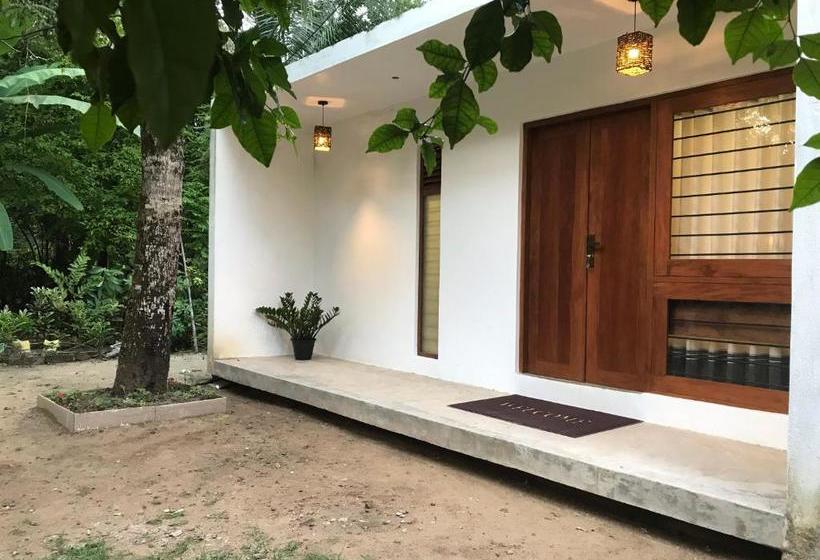 پانسیون The Loft