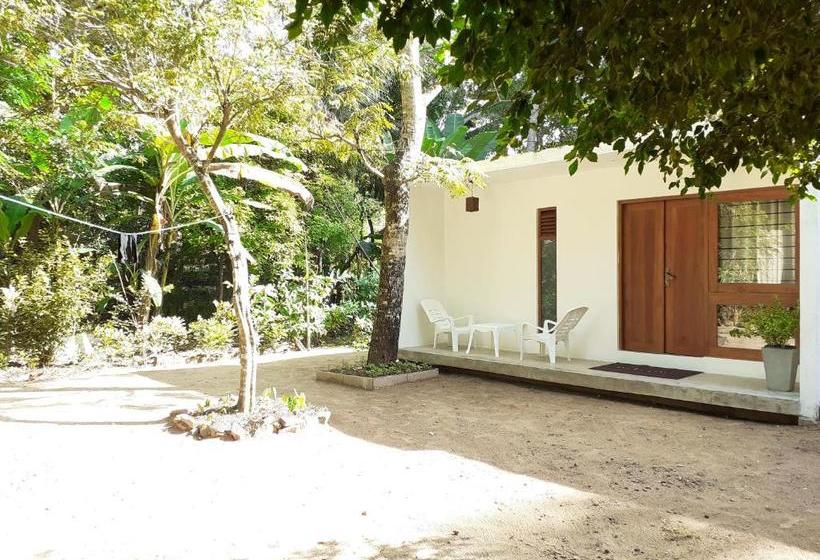 پانسیون The Loft