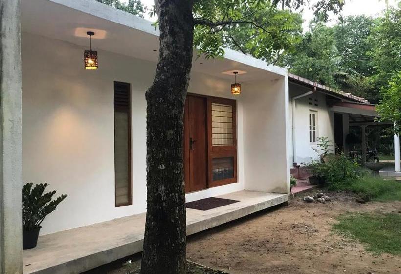 پانسیون The Loft