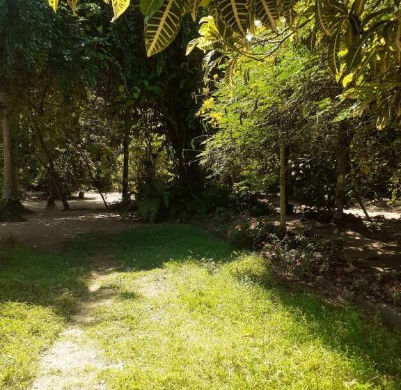 پانسیون The Loft