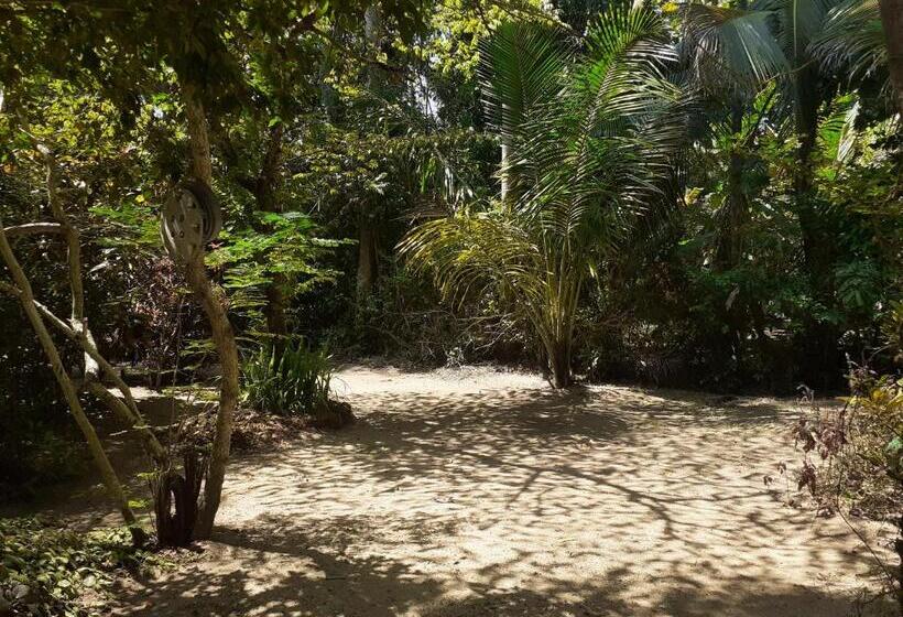 پانسیون The Loft