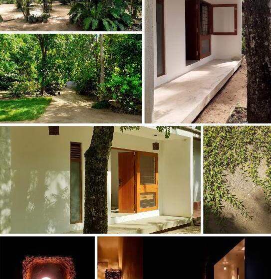 پانسیون The Loft