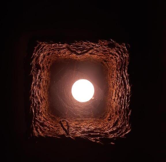 پانسیون The Loft