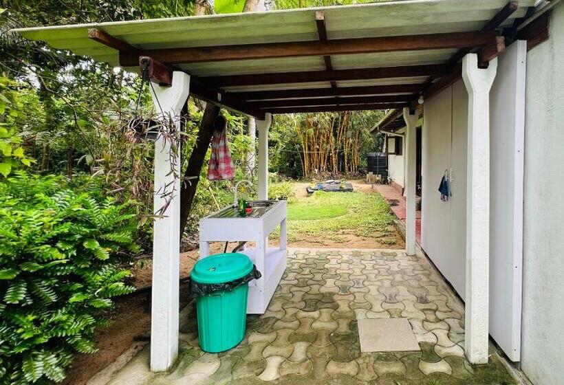 پانسیون The Loft