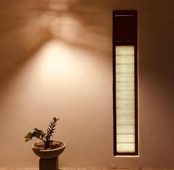 پانسیون The Loft