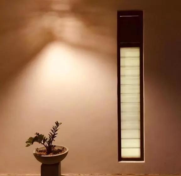 پانسیون The Loft