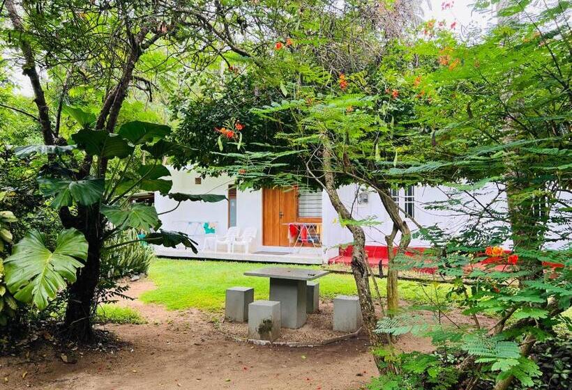 پانسیون The Loft