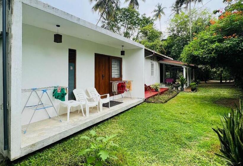 پانسیون The Loft