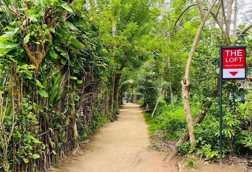 پانسیون The Loft