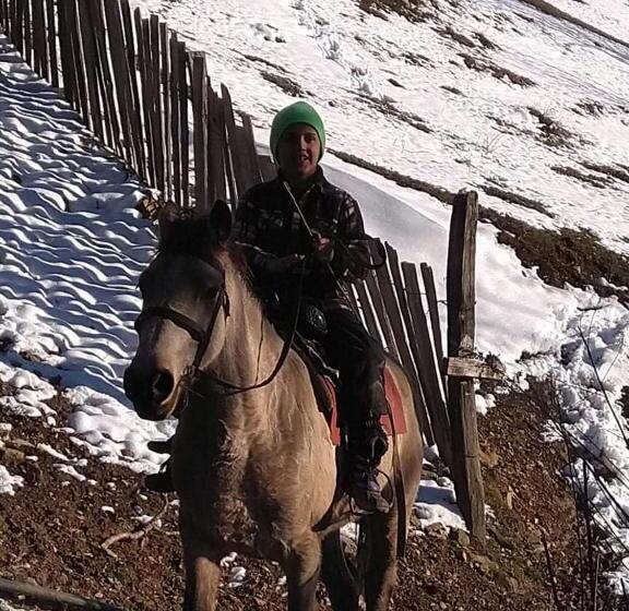 پانسیون Lerimari