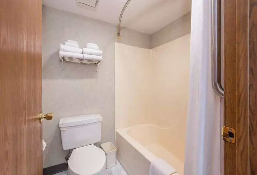 בית מלון כפרי Buffalo Lodge