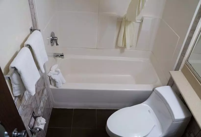 酒店 California Inn Barstow