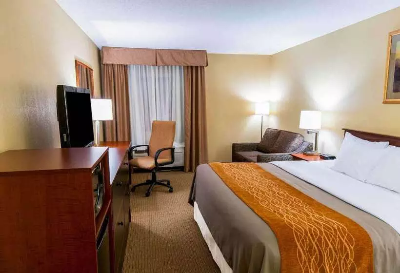 酒店 Comfort Inn Amish Country