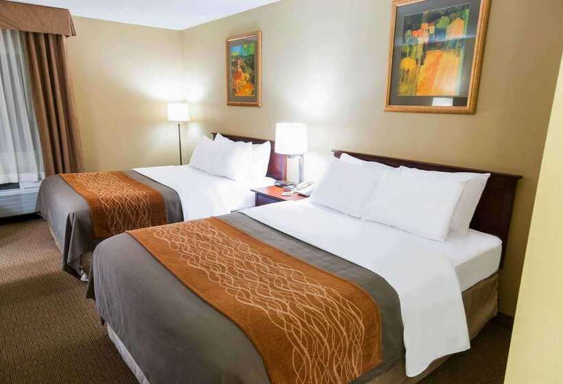 Отель Comfort Inn Amish Country