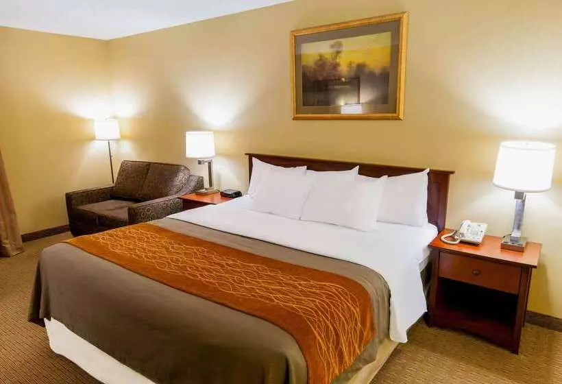 酒店 Comfort Inn Amish Country