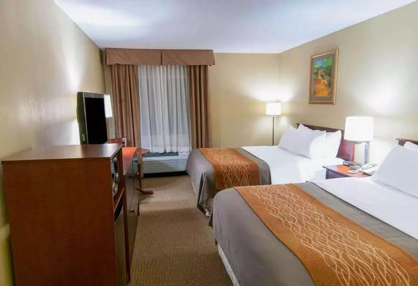 酒店 Comfort Inn Amish Country