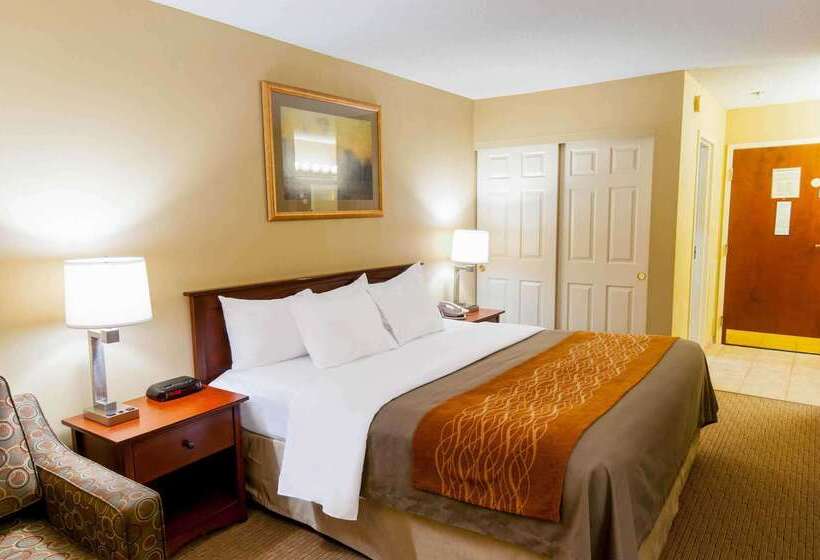 Отель Comfort Inn Amish Country