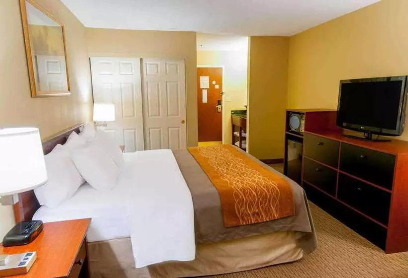 酒店 Comfort Inn Amish Country