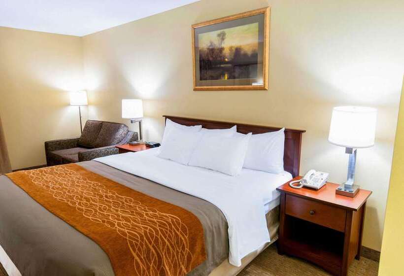 Отель Comfort Inn Amish Country