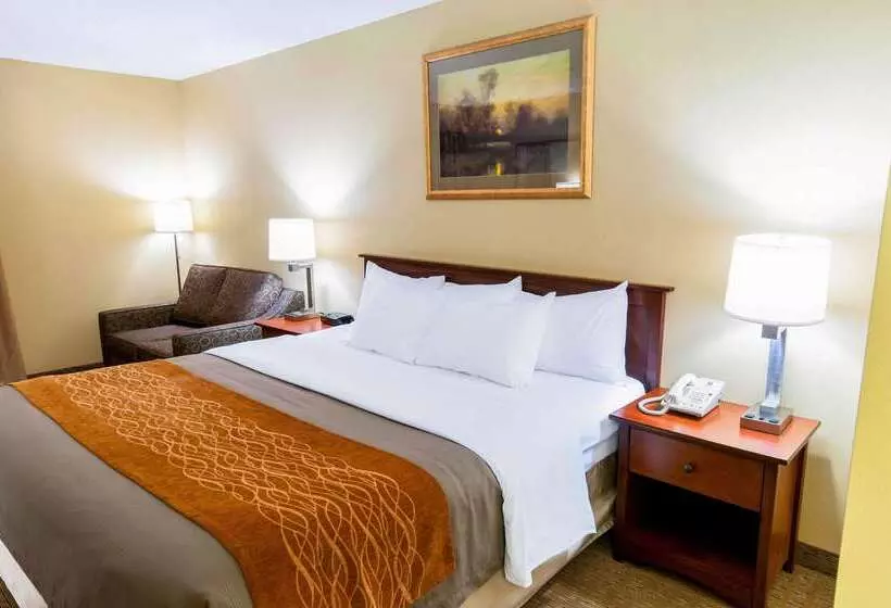 酒店 Comfort Inn Amish Country