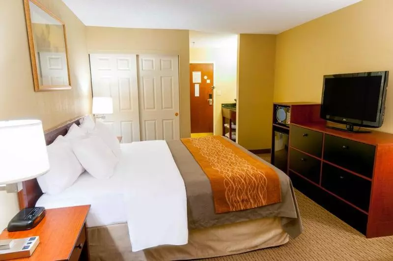 酒店 Comfort Inn Amish Country