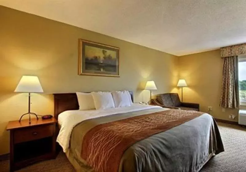酒店 Comfort Inn Amish Country