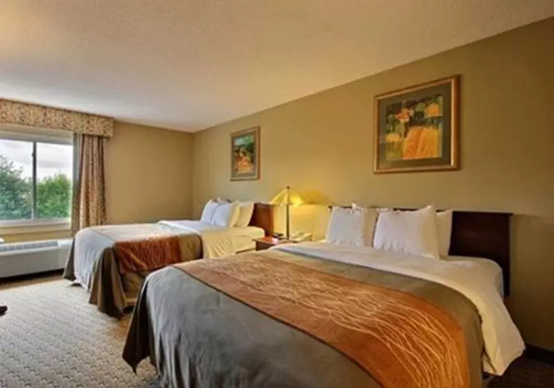 酒店 Comfort Inn Amish Country