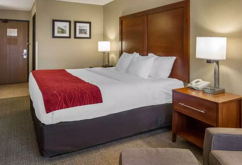 בית מלון כפרי Comfort Inn