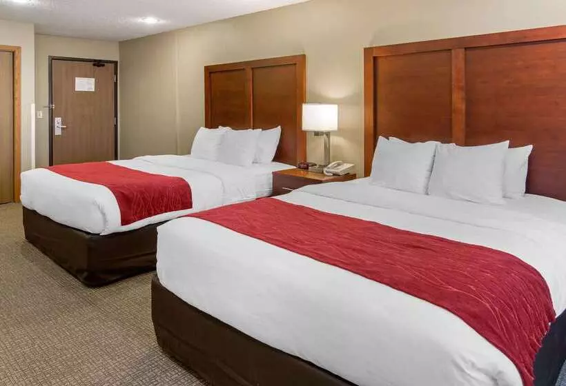 בית מלון כפרי Comfort Inn