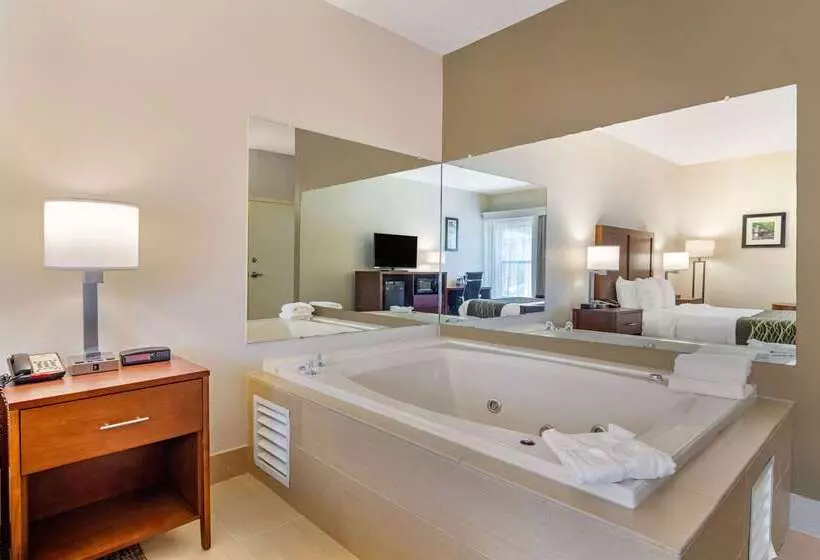 فندق Comfort Inn Douglasville  Atlanta West