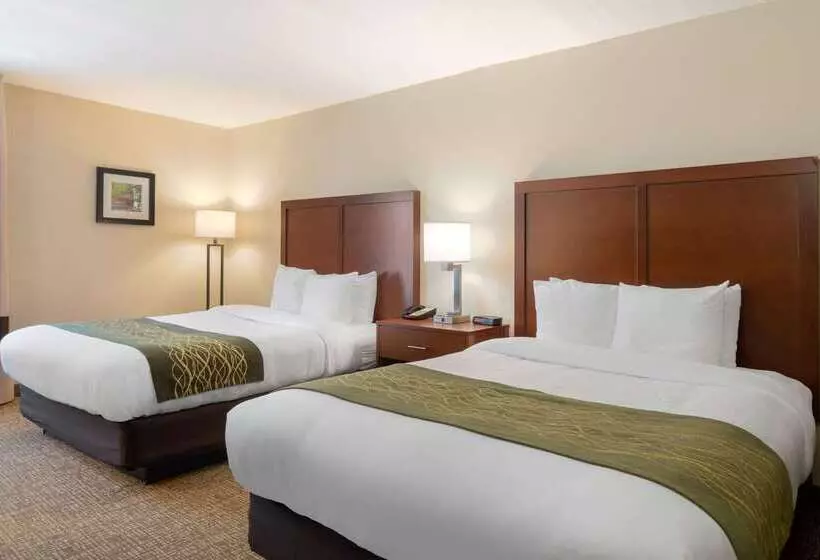 فندق Comfort Inn Douglasville  Atlanta West
