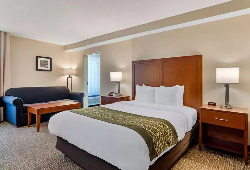 فندق Comfort Inn Douglasville  Atlanta West