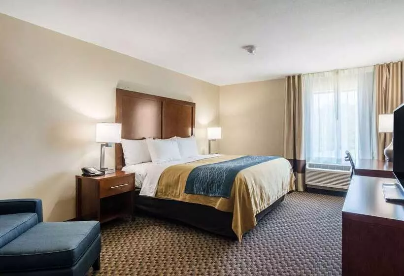 호텔 Comfort Inn Edwardsville St. Louis