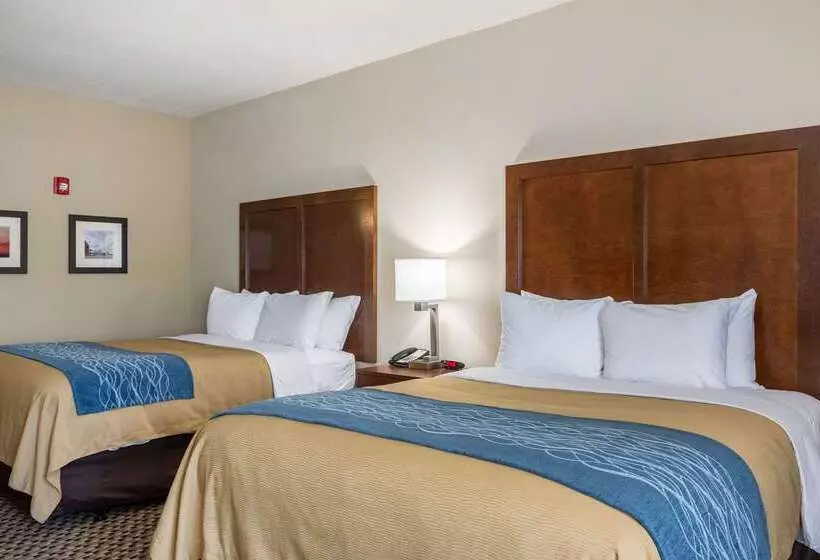 호텔 Comfort Inn Edwardsville St. Louis